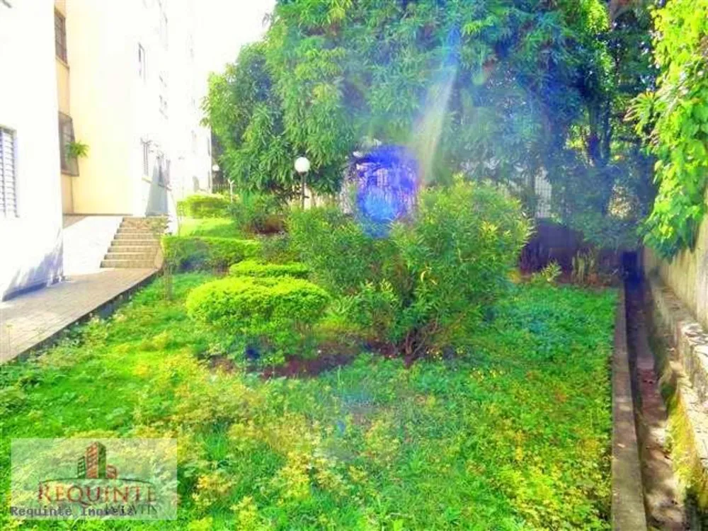 Apartamento, 3 quartos, 74 m² - Foto 6