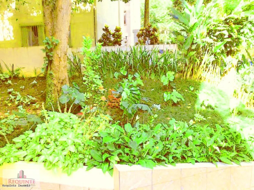 Apartamento, 3 quartos, 71 m² - Foto 1