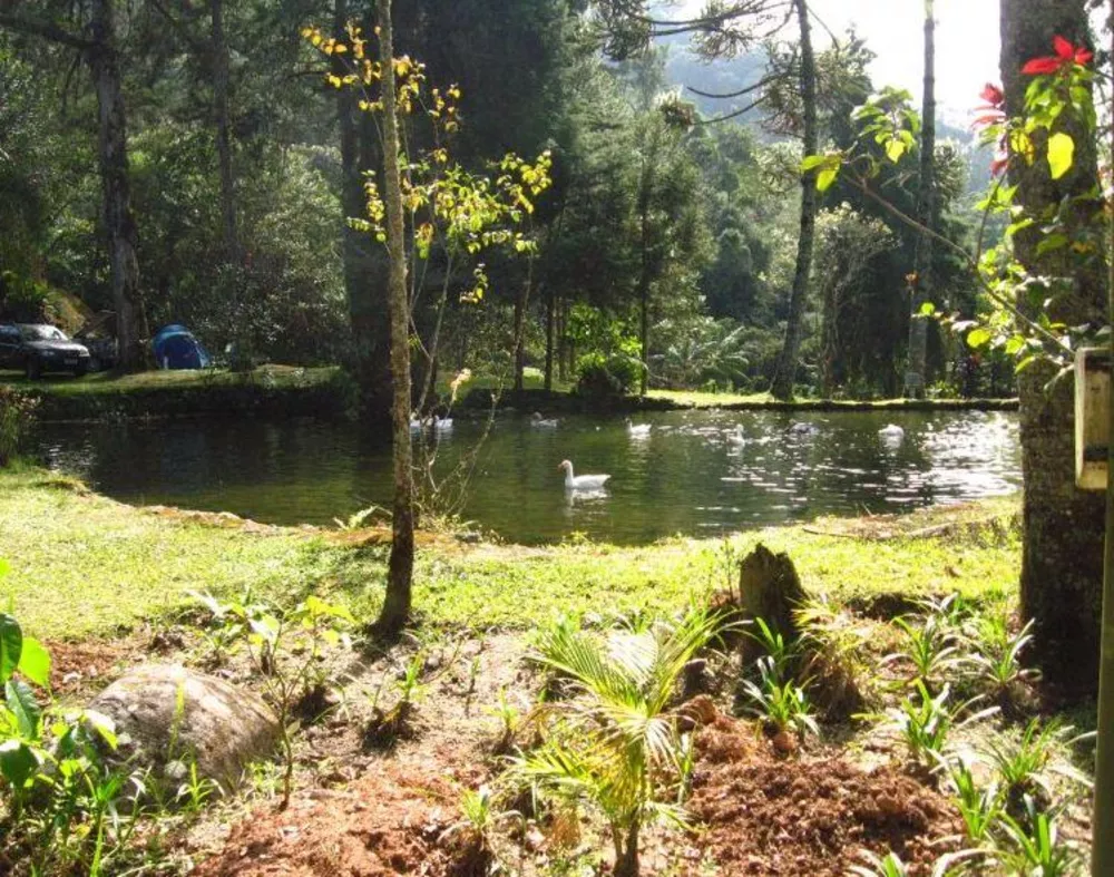 Prédio Inteiro, 703 m² - Foto 3