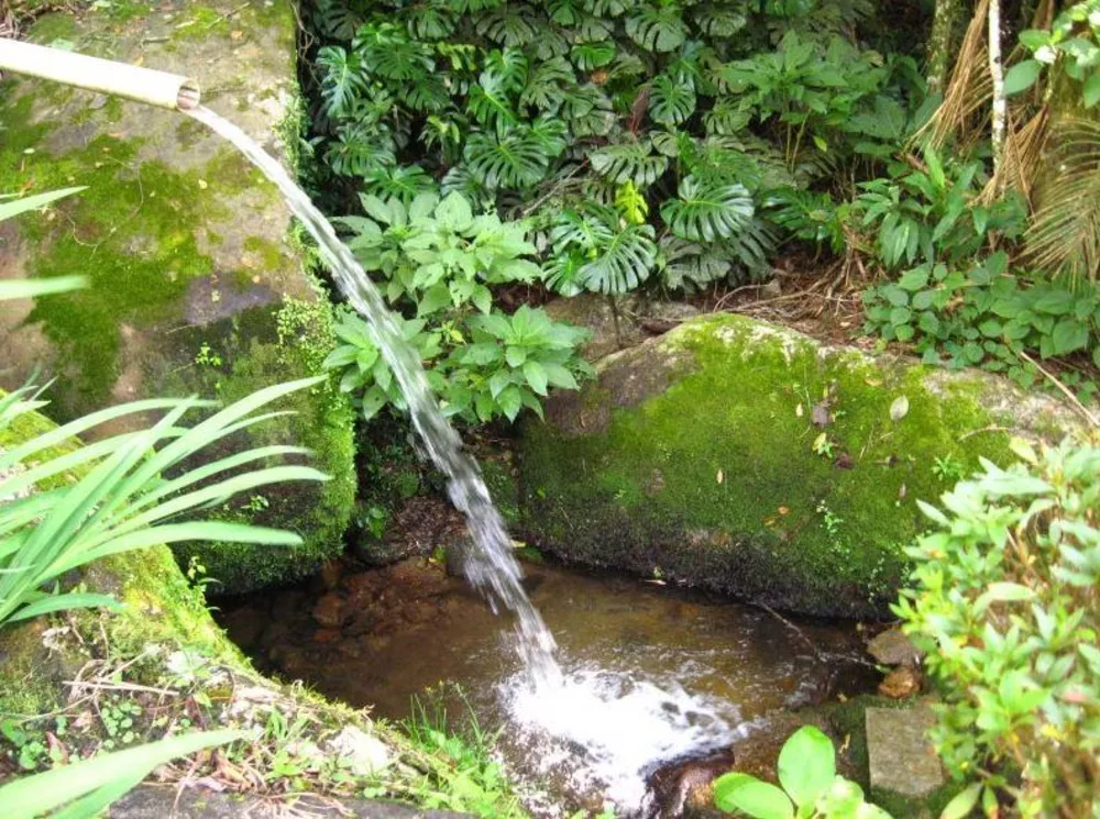 Prédio Inteiro, 703 m² - Foto 16