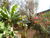 Terreno, 867 m² - Foto 1