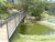 Terreno, 558 m² - Foto 1