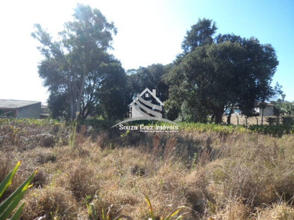 Terreno, 1980 m² - Foto 5