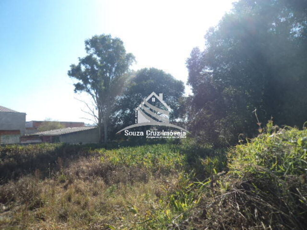 Terreno, 1980 m² - Foto 6