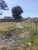 Terreno, 1980 m² - Foto 2