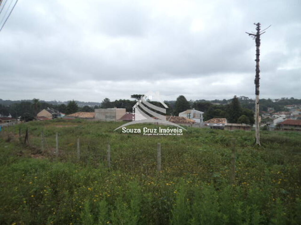 Terreno à venda, 9139m² - Foto 3
