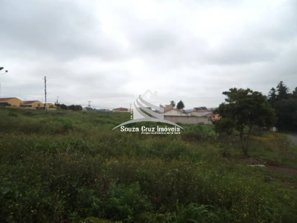 Terreno, 9139 m² - Foto 8
