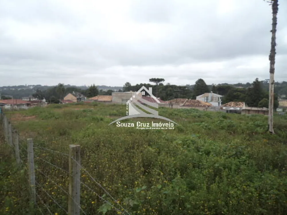 Terreno, 9139 m² - Foto 13