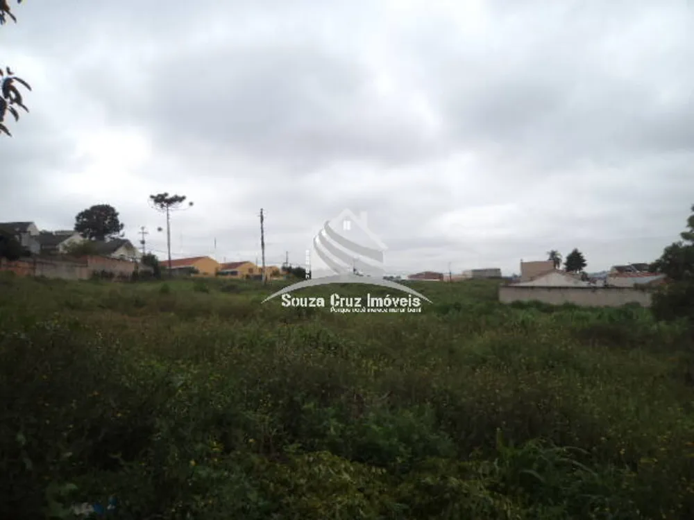 Terreno, 9139 m² - Foto 6