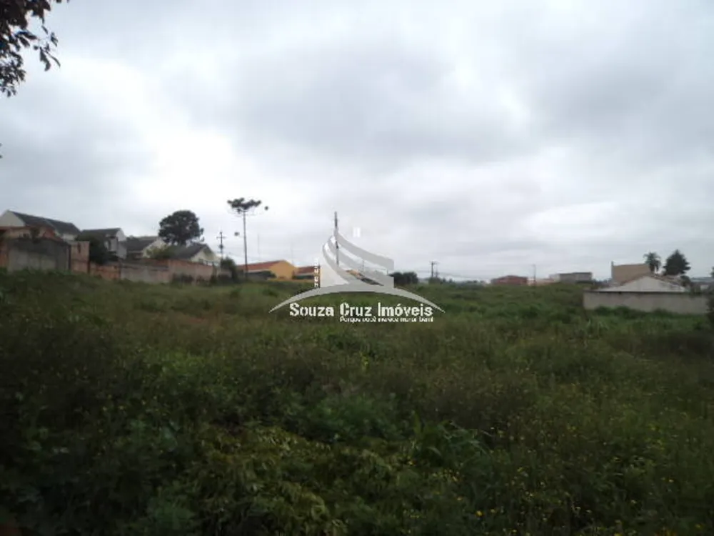 Terreno, 9139 m² - Foto 3