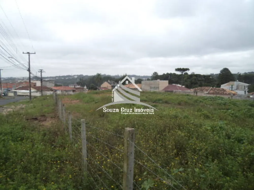 Terreno, 9139 m² - Foto 14