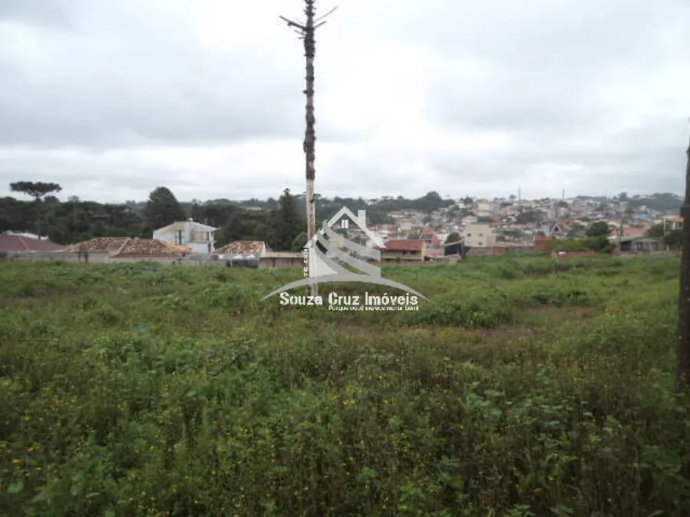 Terreno, 9139 m² - Foto 12