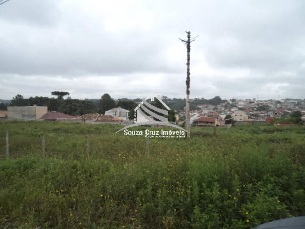 Terreno, 9139 m² - Foto 2