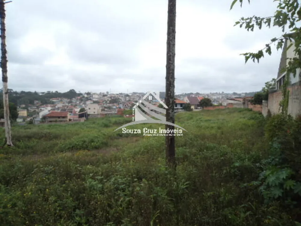 Terreno, 9139 m² - Foto 11
