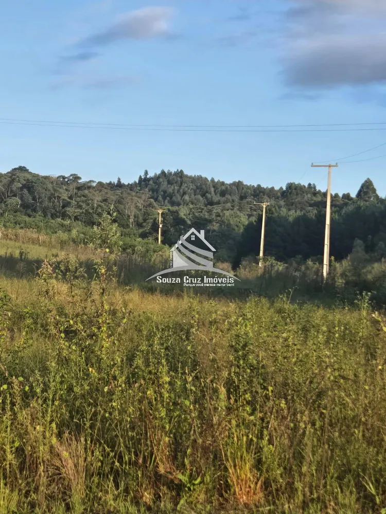 Terreno, 3 hectares - Foto 17
