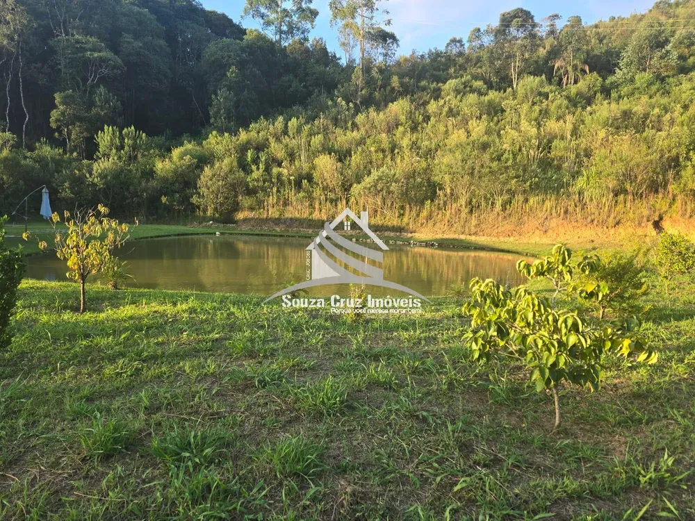 Terreno, 3 hectares - Foto 15