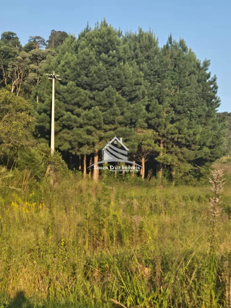 Terreno, 3 hectares - Foto 10