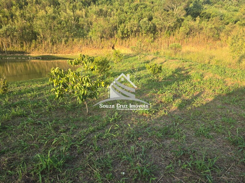 Terreno, 3 hectares - Foto 8