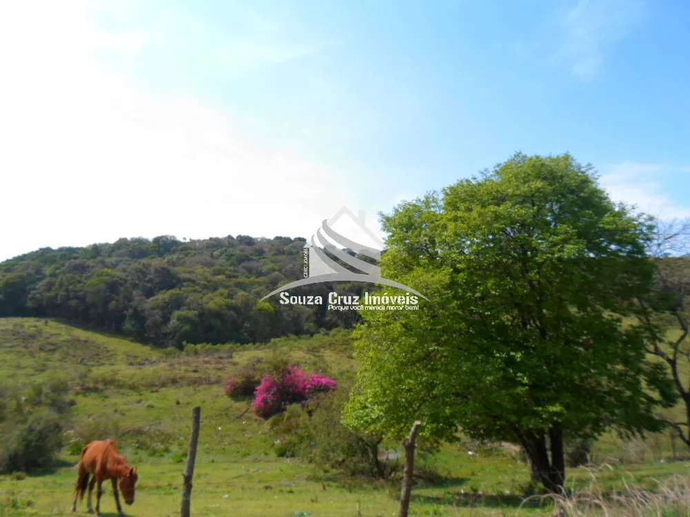 Terreno, 10 hectares - Foto 11