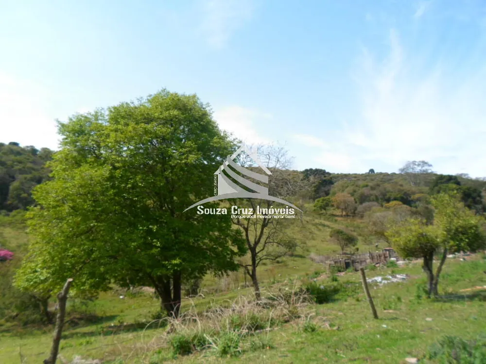 Terreno, 10 hectares - Foto 12