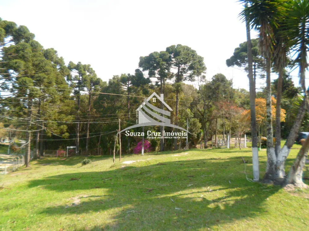 Terreno, 10 hectares - Foto 2