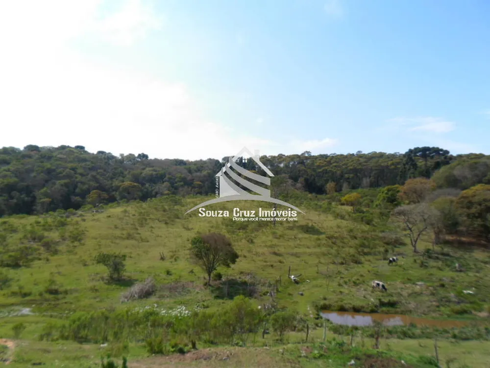 Terreno, 10 hectares - Foto 4