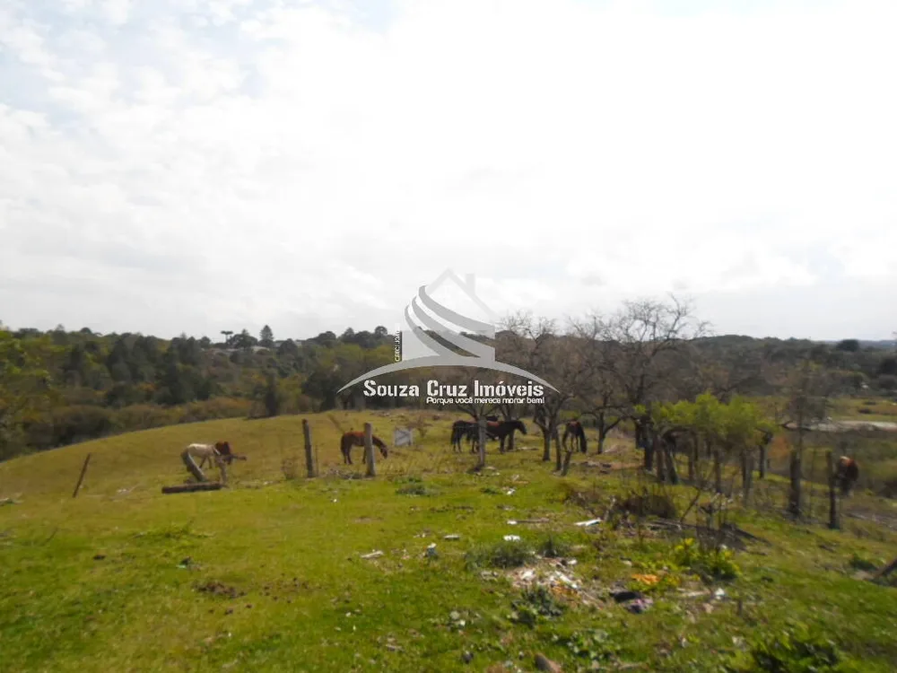 Terreno, 10 hectares - Foto 10