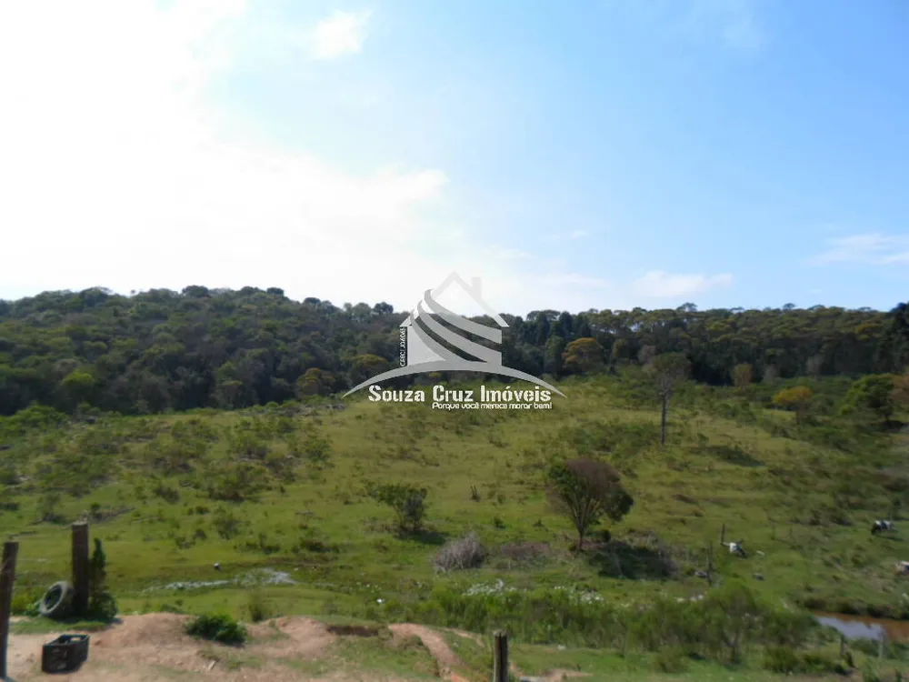Terreno, 10 hectares - Foto 6
