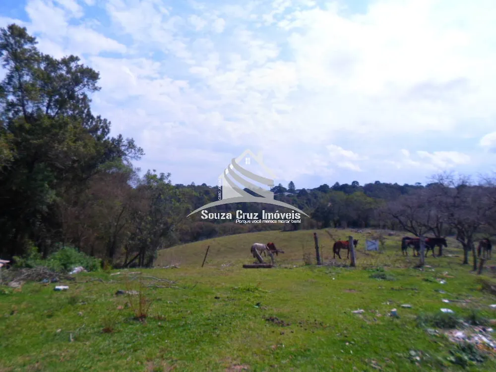 Terreno, 10 hectares - Foto 9