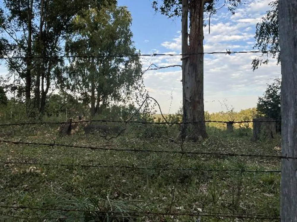 Terreno, 50 m² - Foto 1