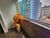 Apartamento, 2 quartos, 95 m² - Foto 10