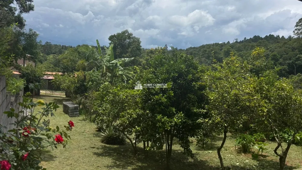 Chácara, 2 quartos, 1200 m² - Foto 2