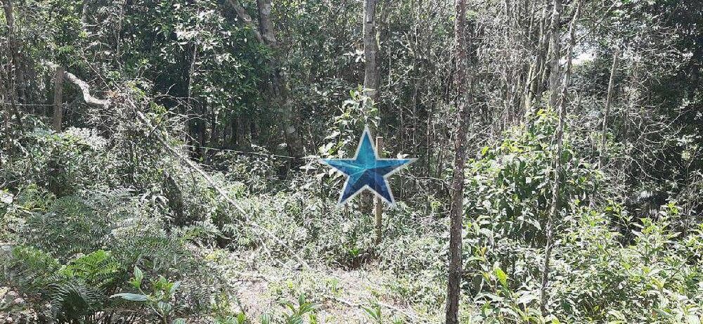 Terreno, 7 hectares - Foto 5