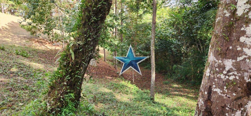 Terreno, 7 hectares - Foto 17