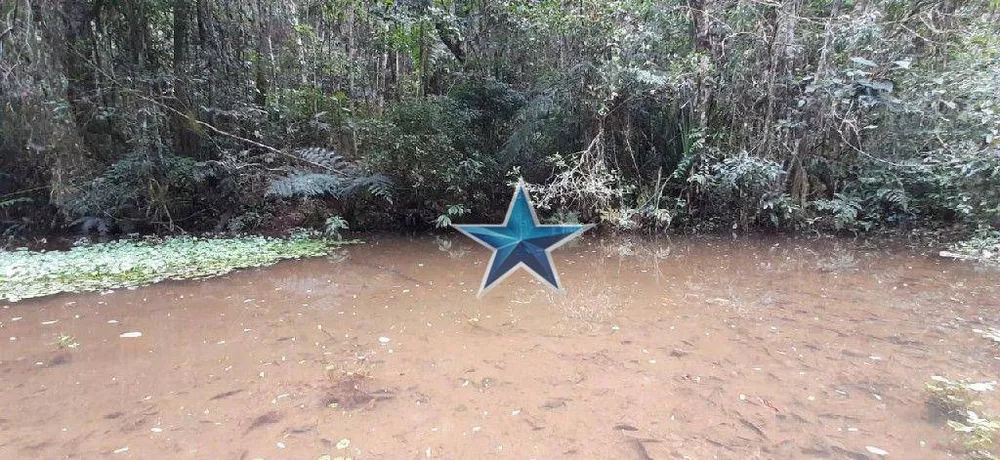 Terreno, 7 hectares - Foto 13