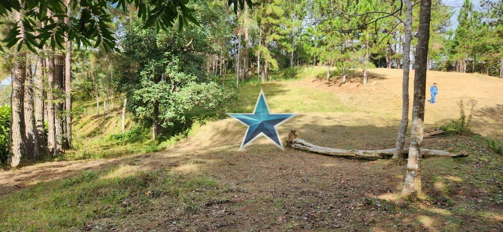 Terreno, 7 hectares - Foto 21