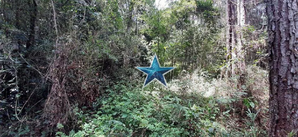 Terreno, 7 hectares - Foto 7