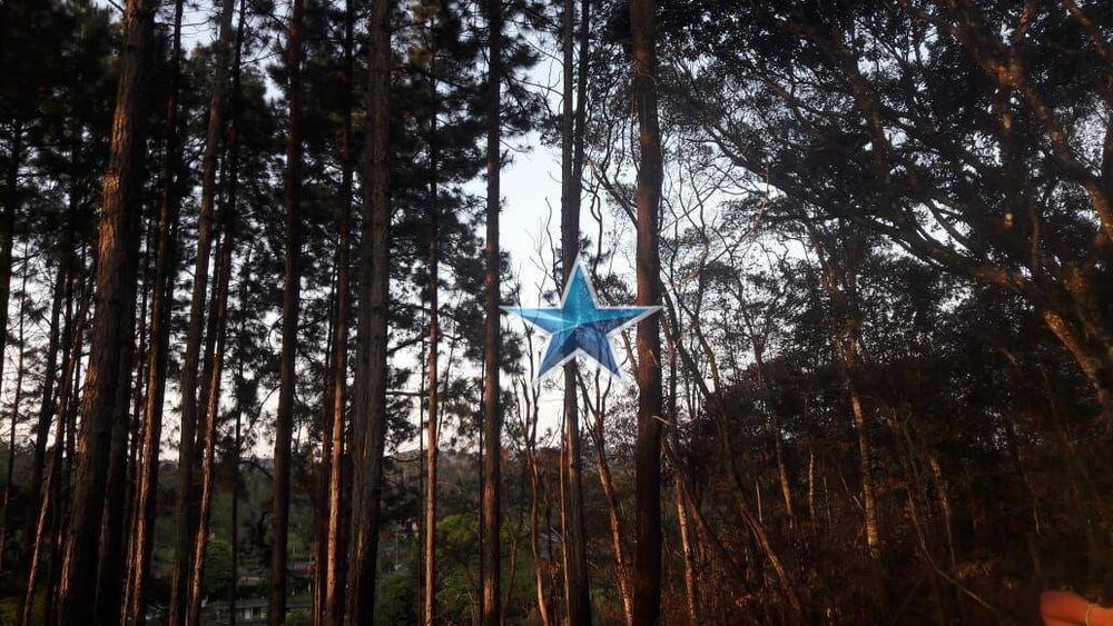 Terreno, 7 hectares - Foto 19