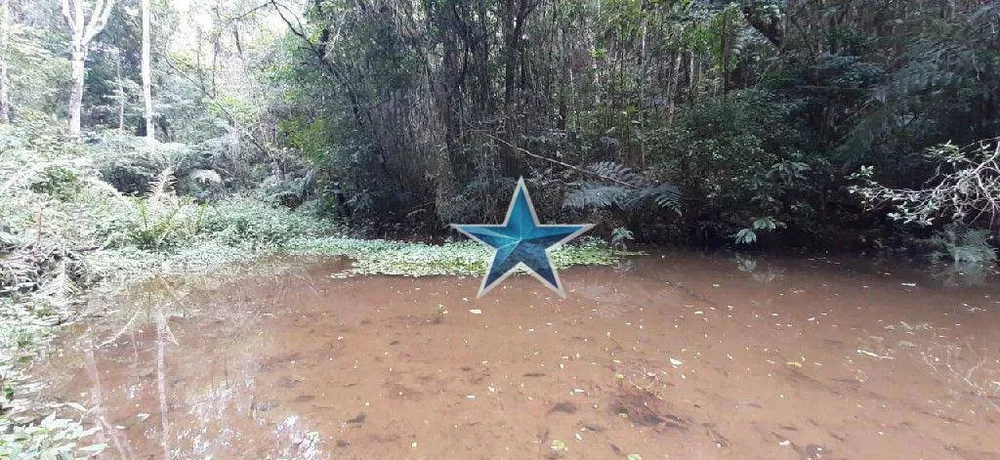 Terreno, 7 hectares - Foto 10