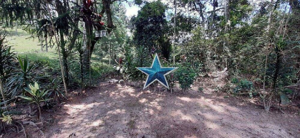 Terreno, 7 hectares - Foto 8