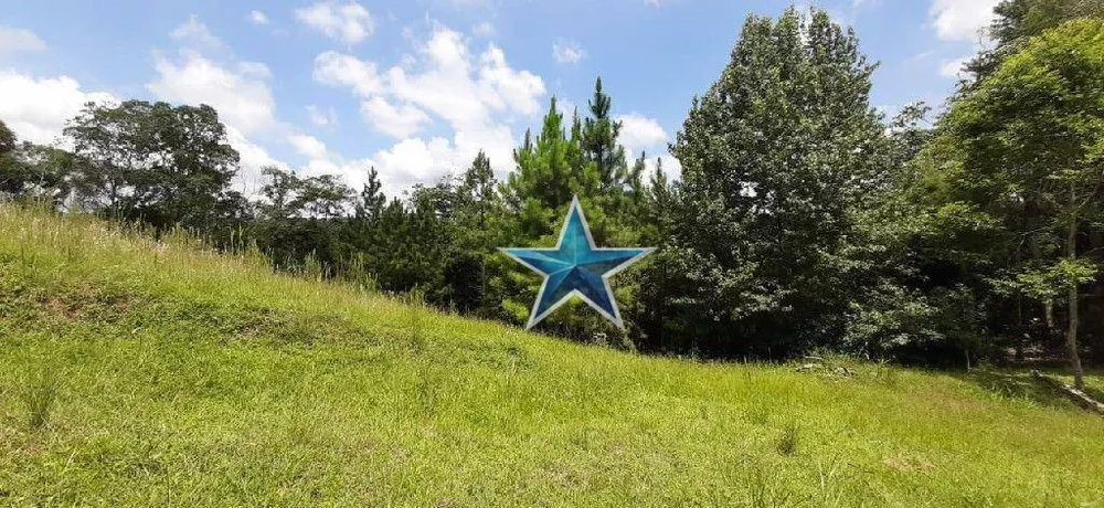 Terreno, 7 hectares - Foto 12