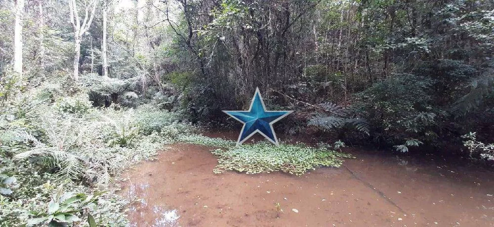 Terreno, 7 hectares - Foto 6