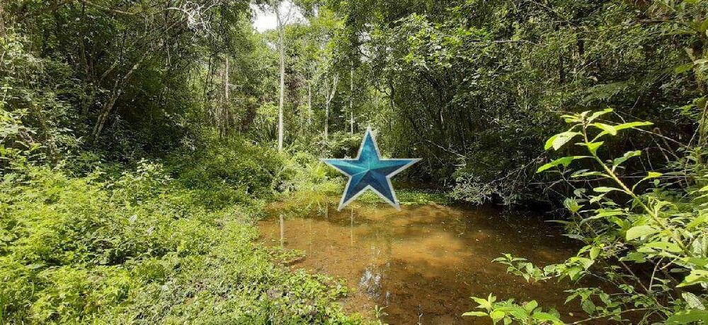 Terreno, 7 hectares - Foto 15