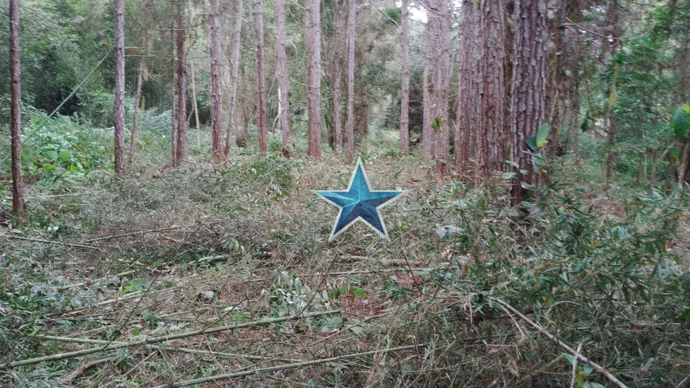 Terreno, 7 hectares - Foto 16