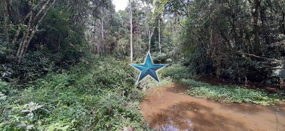 Terreno, 7 hectares - Foto 9