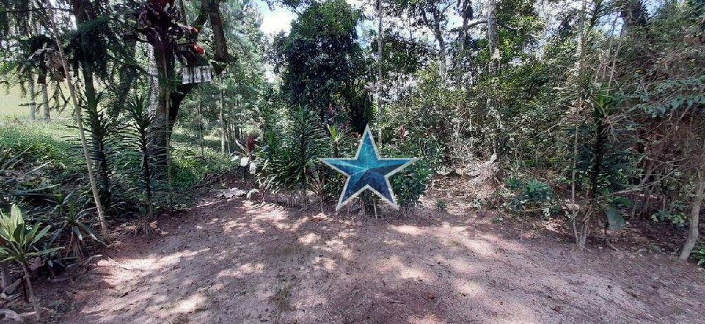 Terreno, 7 hectares - Foto 11