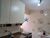 Apartamento, 2 quartos, 53 m² - Foto 15