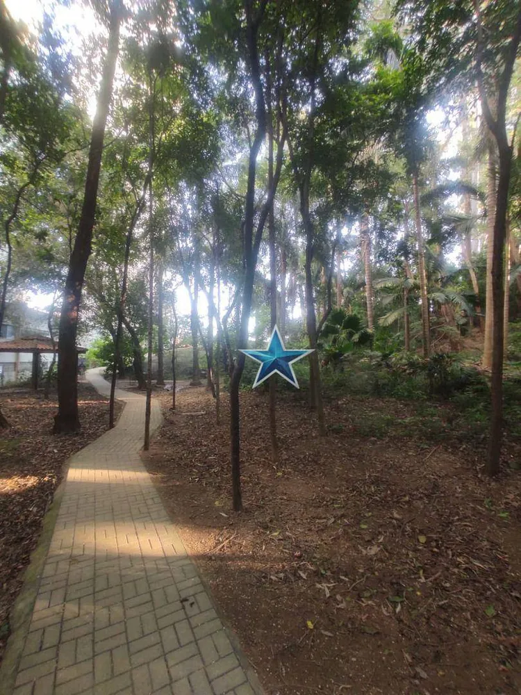Apartamento, 3 quartos, 81 m² - Foto 12
