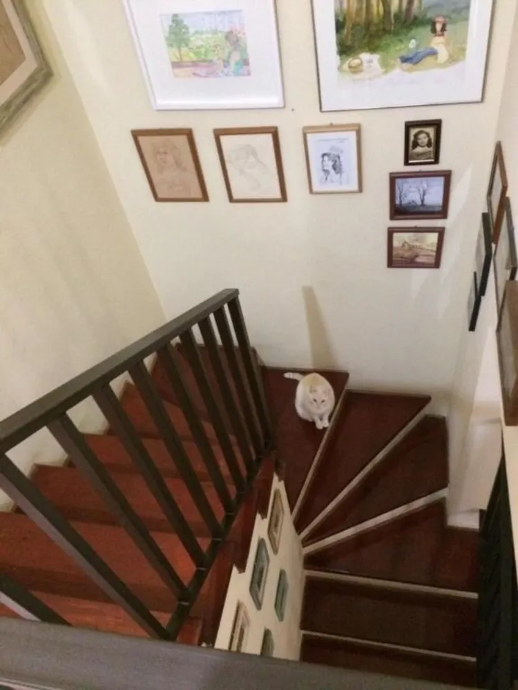 Sobrado, 2 quartos, 96 m² - Foto 12