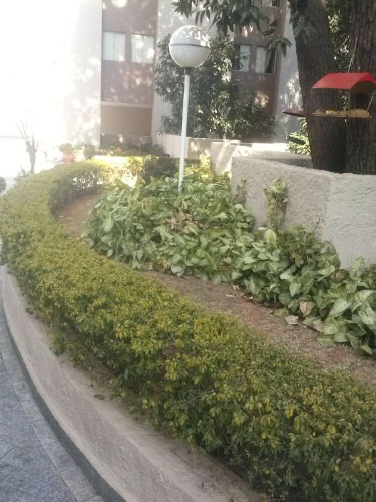 Apartamento, 2 quartos, 52 m² - Foto 11